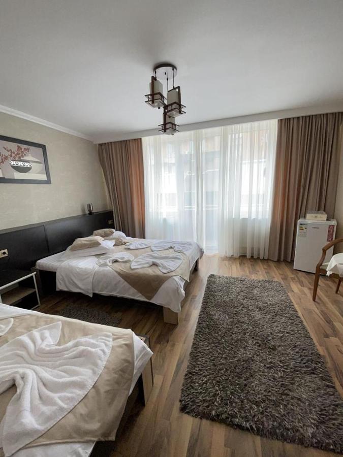 ホテル Casa Alex Târgu Jiu エクステリア 写真