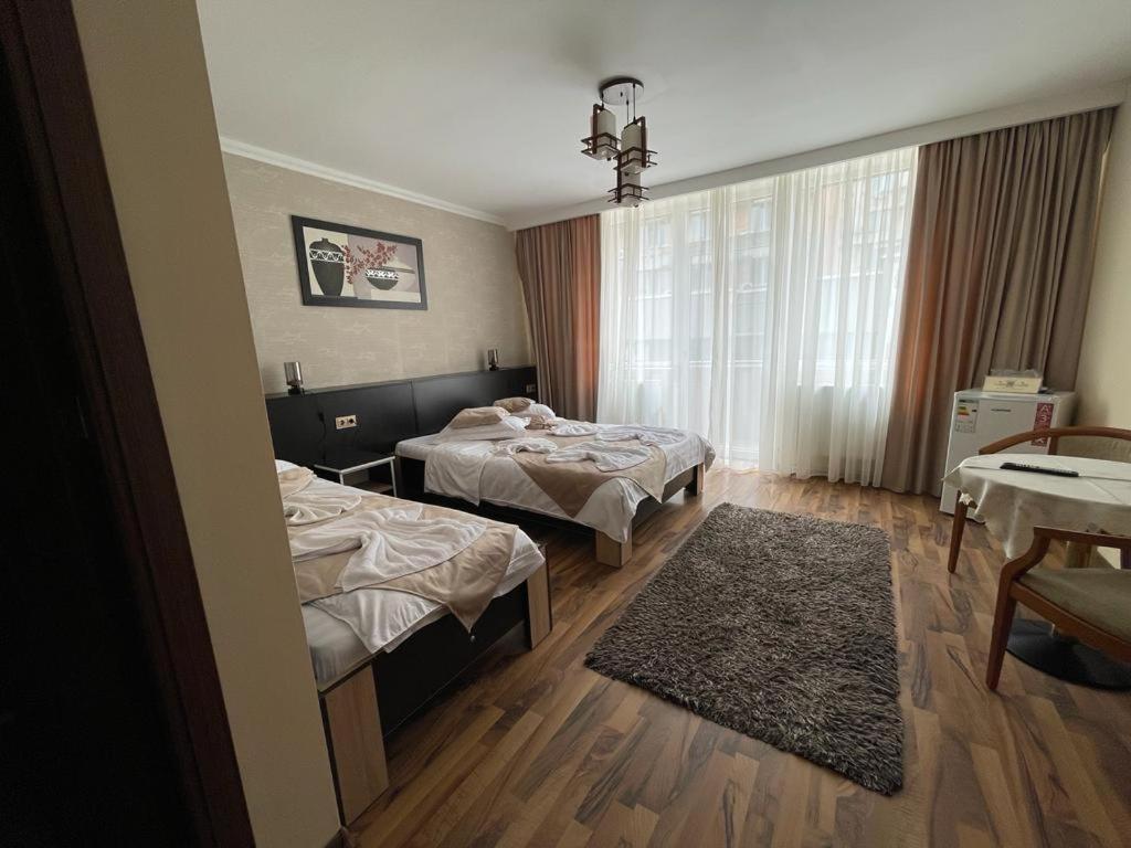 ホテル Casa Alex Târgu Jiu エクステリア 写真