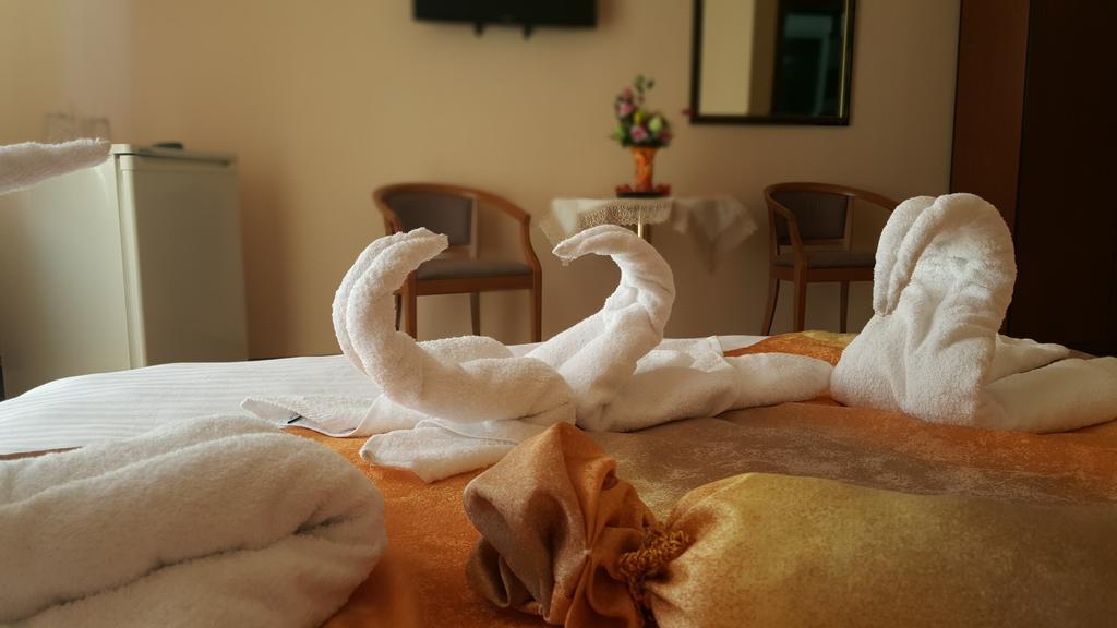 ホテル Casa Alex Târgu Jiu 部屋 写真