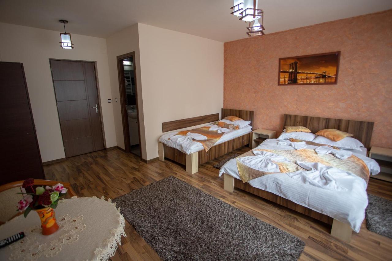 ホテル Casa Alex Târgu Jiu エクステリア 写真