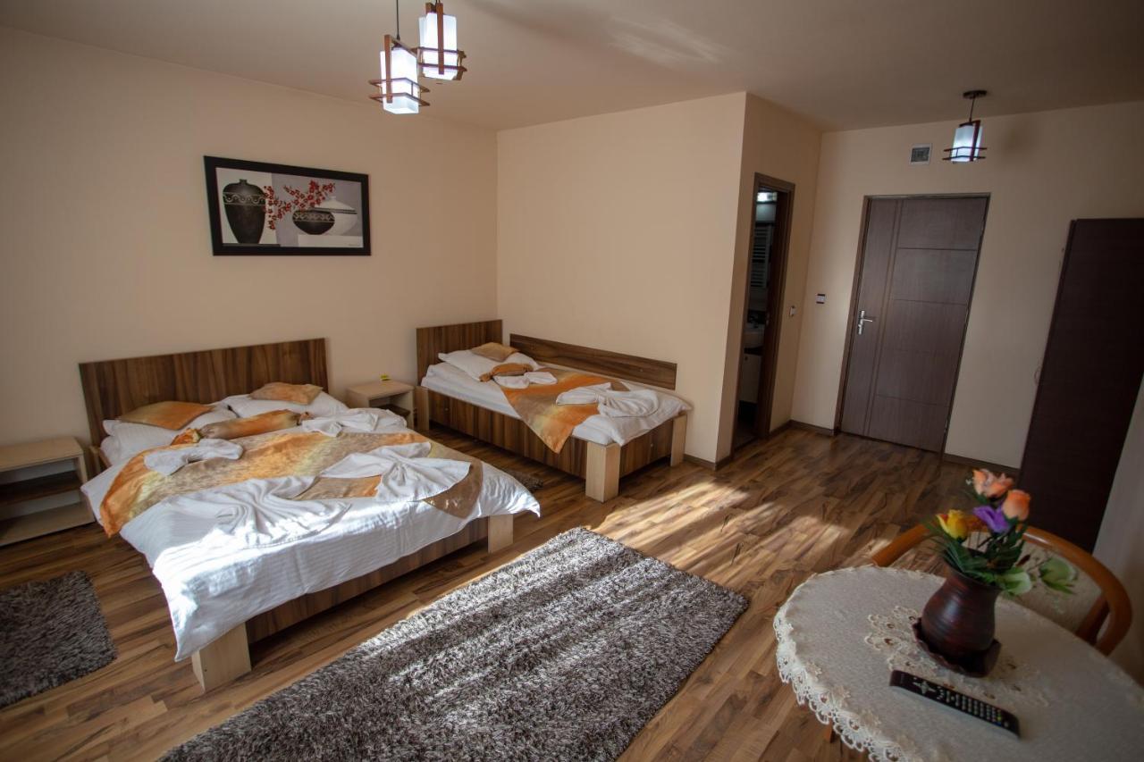 ホテル Casa Alex Târgu Jiu エクステリア 写真